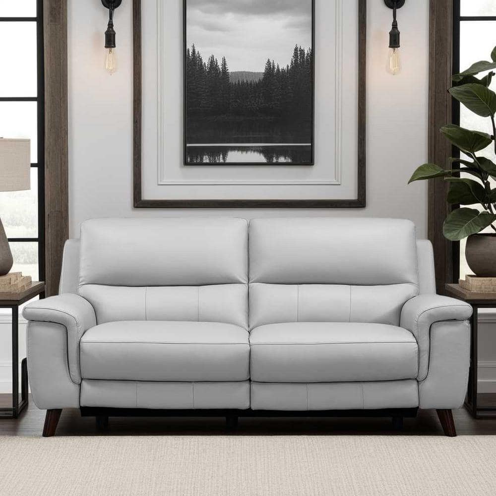 Lizette Dark Brown Wood and Dove Grey Genuine Leather Contemporary Sofa