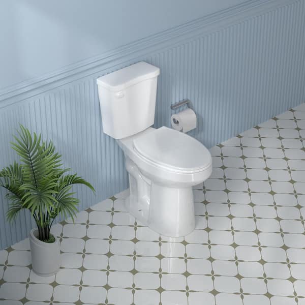 Aguamaph 19 in. 2-Piece Toilet Single Flush 1.28 GPF Map