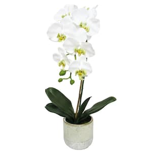 22 in. White Artificial Phalaenopsis Orchid Flower Arrangement in Half Glazed Ceramic Pot