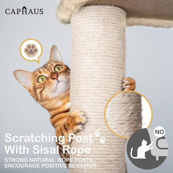 SEGAWE 55" Beige Cat Tree Tower – Sisal Activity Center – Cozy Condo House – Max Load 55lbs