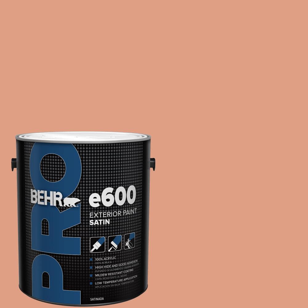 1 gal. #220D-4 Southwest Stone Satin Exterior Paint price history on PriceWatchPro