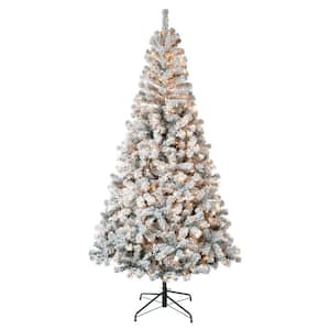 First Traditions 7.5 ft. Acacia Flocked PreLit Artificial Christmas Tree with Clear Lights