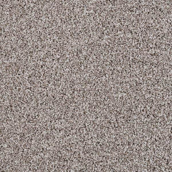 Lifeproof with Petproof Technology Barx II - Neutral - Beige 56 oz. Triexta  Texture Installed Carpet 0778D-26-12 - The Home Depot