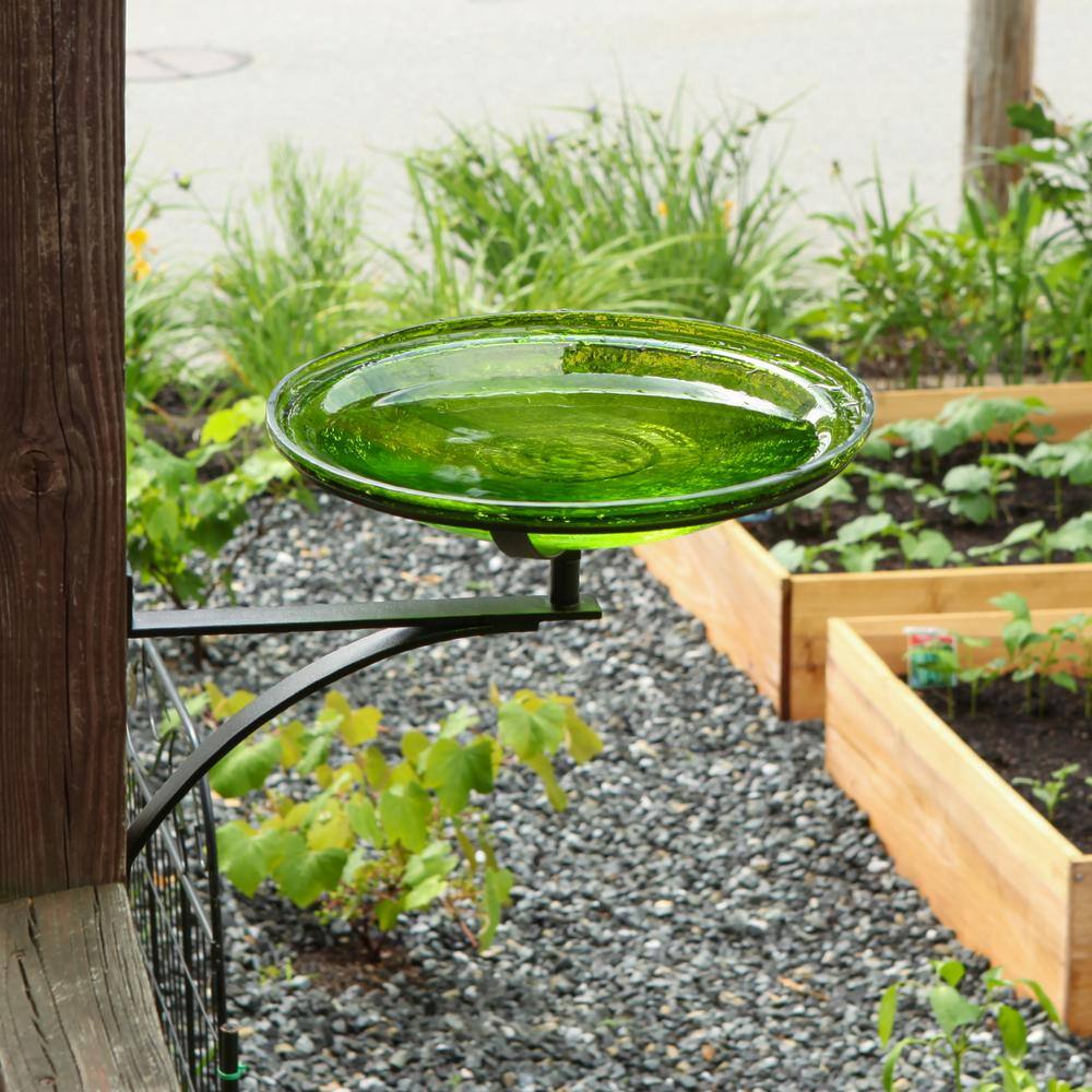Fern Green Crackle Glass Birdbath with Black Wrought Iron Wall Bracket