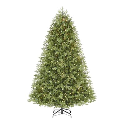 7.5 ft Cassidy Fraser Fir LED Pre-Lit Artificial Christmas Tree with 900 Color Changing C4 Lights