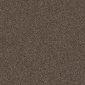 Alpine - Inner Strength - Brown 17.3 oz. Polyester Texture Installed Carpet