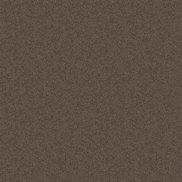 TrafficMaster Alpine - Inner Strength - Brown 17.3 oz. Polyester Texture Installed Carpet