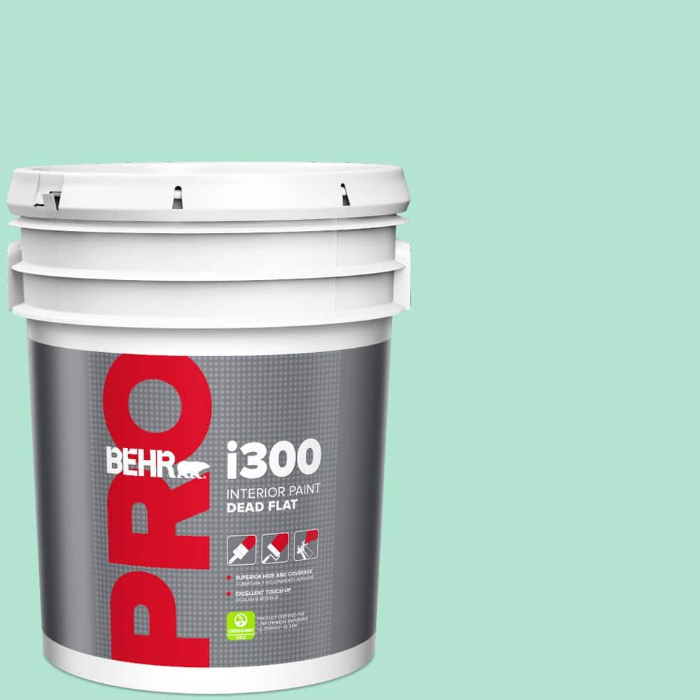 5 gal. #P420-2 Crystal Rapids Dead Flat Interior Paint price history on PriceWatchPro