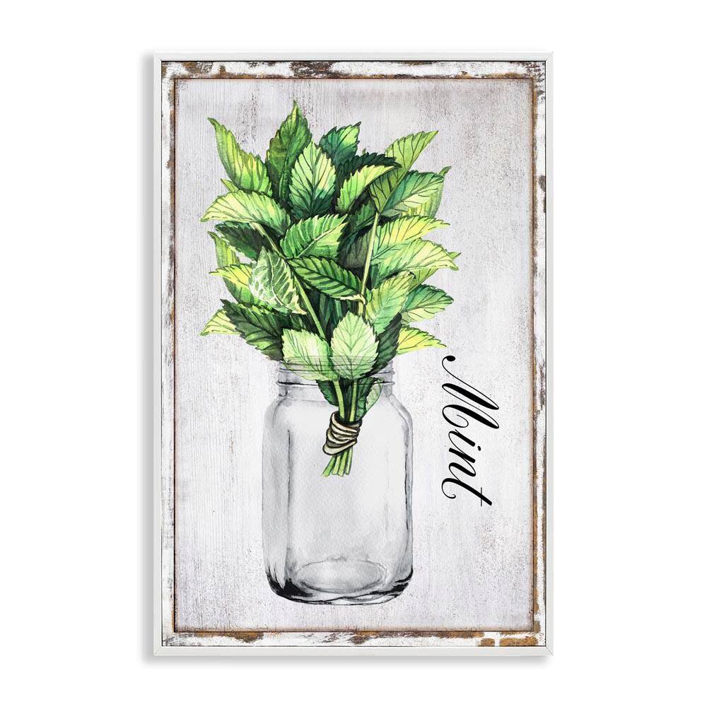Rustic Garden Mint by Creatif Belle White Framed Nature Giclee Art Print 30 in. x 20 in. price history on PriceWatchPro
