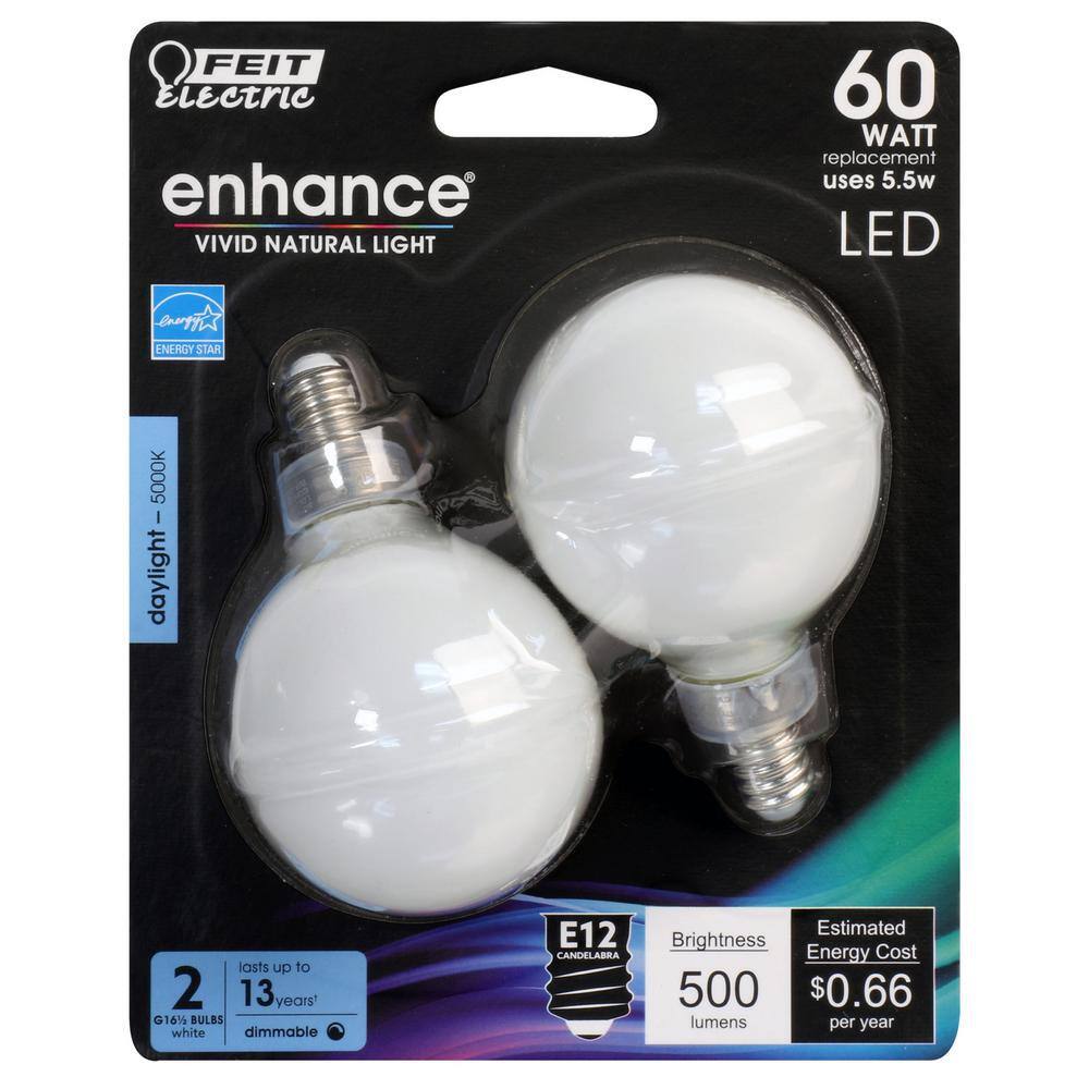60Watt Equivalent G16.5 Globe Dimmable Filament ENERGY STAR White E12