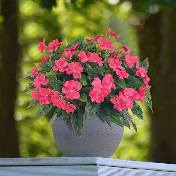 Afoxsos 15.7 in. Rose Red Artificial Plant Impatiens Bouquet