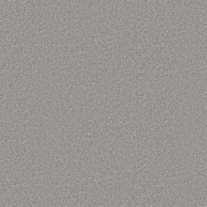Rosemary II - Bolt-Gray 12 ft. 56 oz. High Performance Polyester Texture Installed Carpet