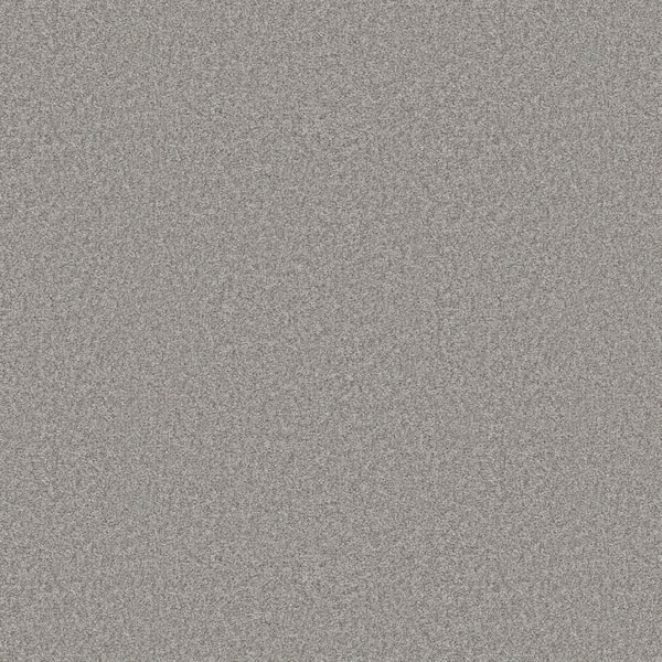Lifeproof Rosemary III - Bolt-Gray 12 ft. 66 oz. High Performance Polyester Texture Installed Carpet