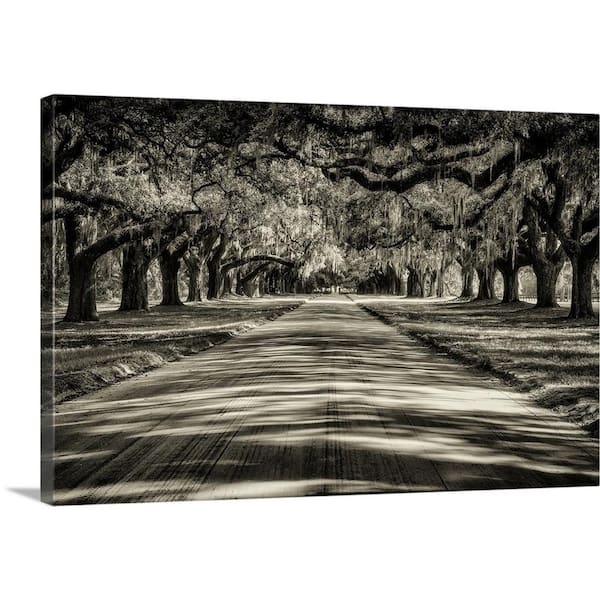 GreatBigCanvas "Oak tree lined road at Boone Hall Plantation, Charleston" by Scott Stulberg Canvas Wall Art