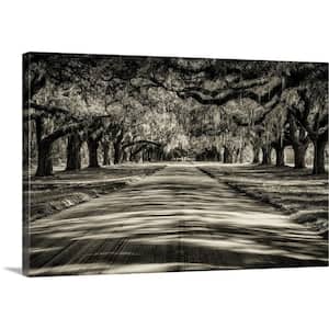 "Oak tree lined road at Boone Hall Plantation, Charleston" by Scott Stulberg Canvas Wall Art