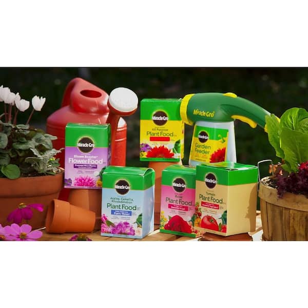 Miracle-Gro 2000422 Tomato Plant Food Tomato Fertilizer 6 Pack, 1.5 lb