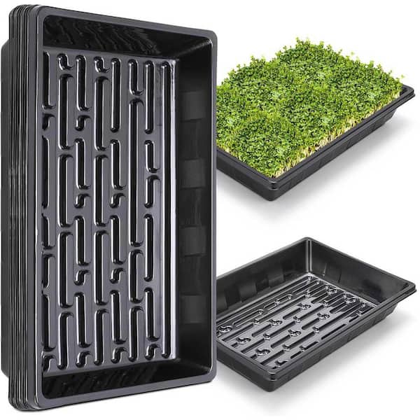 Phewnyzo 10-Pack Plant Growing Trays Reusable Durable Plastic No Holes Microgreens Seed Starter Transplant Flats