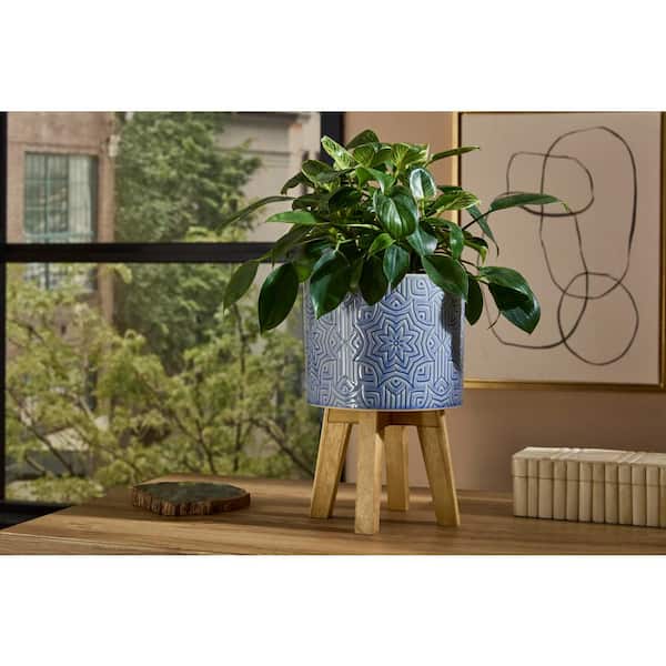 Constance 1 Gal Medium Indoor Ceramic Planter on Wood Stand (8 in. L x 8 in. W x 12 in. H)