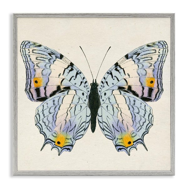 Stupell Industries Butterfly with Yellow Details by Susan Arnot Gray Framed Animal Giclee Art Print 17 in. x 17 in.