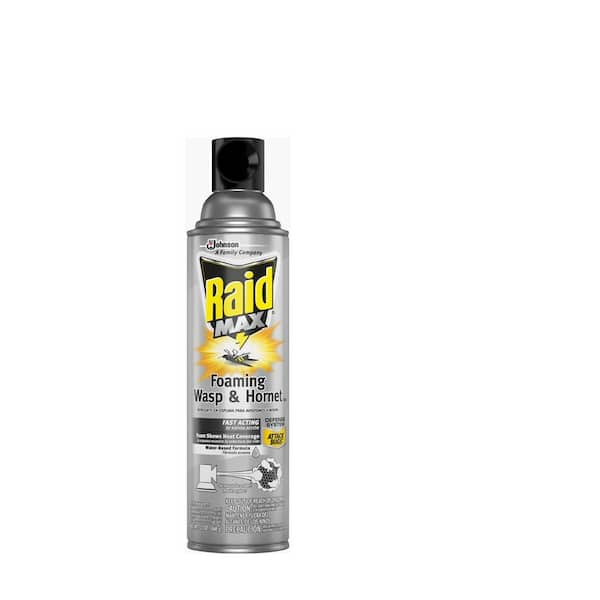 Raid Max Max 13 Oz Foaming Wasp And Hornet Killer The Home Depot