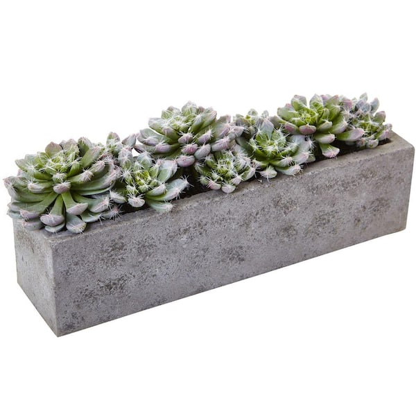 Nearly Natural Artificial Succulent Garden with Textured Concrete Planter