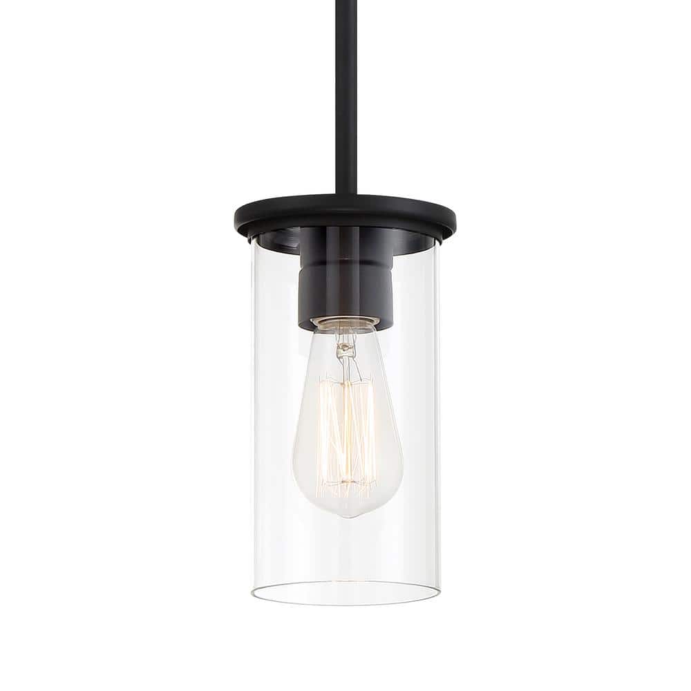 Haisley 1-Light Black Mini Pendant to Semi-Flush with Clear Glass Shade price history on PriceWatchPro