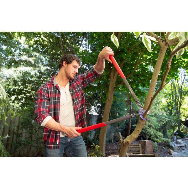 Corona Dualcut Lopper and Razortooth Pruning Saw