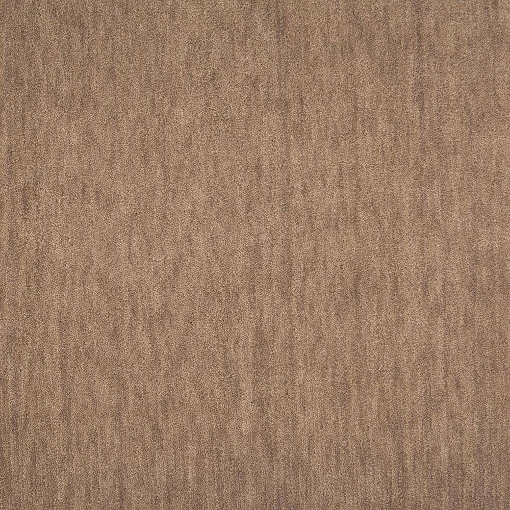 6 in. x 6 in. Texture Carpet Sample - Supreme - Color Hazel price history on PriceWatchPro