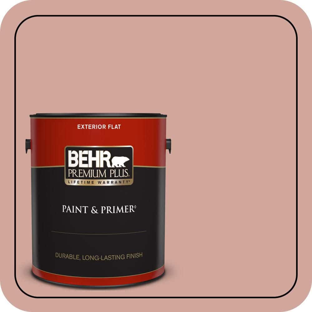 1 gal. #200E-3 Cinnamon Cocoa Flat Exterior Paint & Primer price history on PriceWatchPro