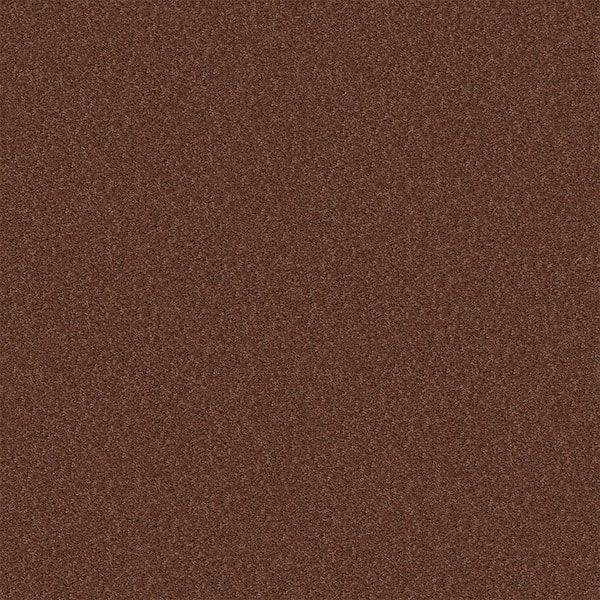 TrafficMaster Alpine - Warmth - Brown 17.3 oz. Polyester Texture Installed Carpet