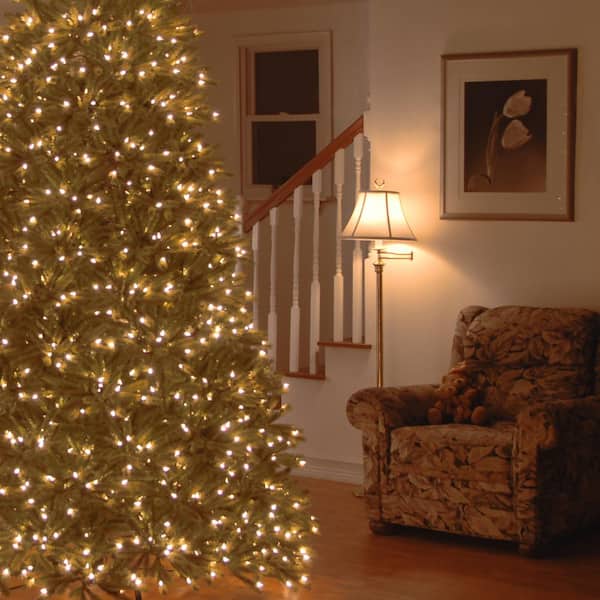 6.5 ft. Jersey Fraser Fir Medium Tree with Clear Lights