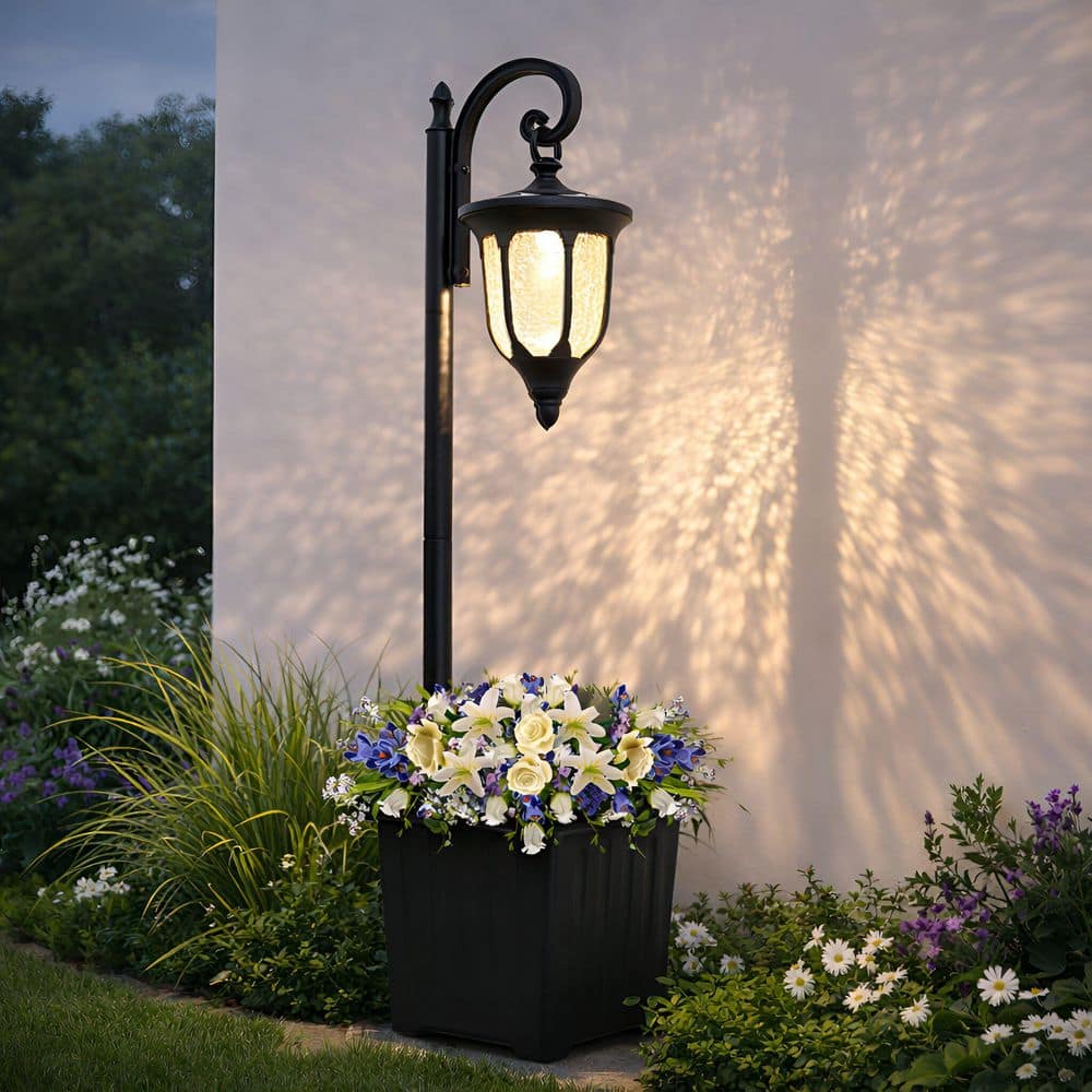 C Cattleya 1-Light Dusk to Dawn LED O...