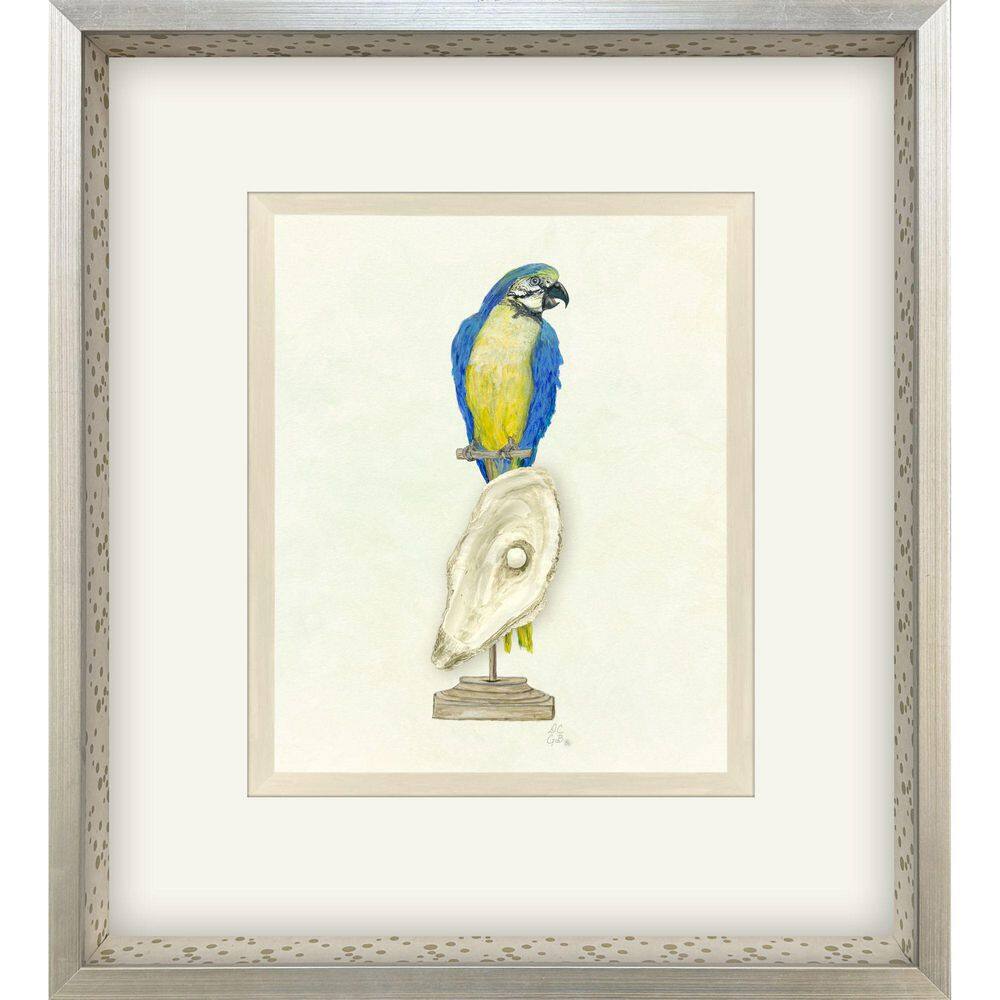 Treasure Parrot by PopJoy Studio 1 Piece Framed Animal Art Print 26 in. x 23 in. price history on PriceWatchPro