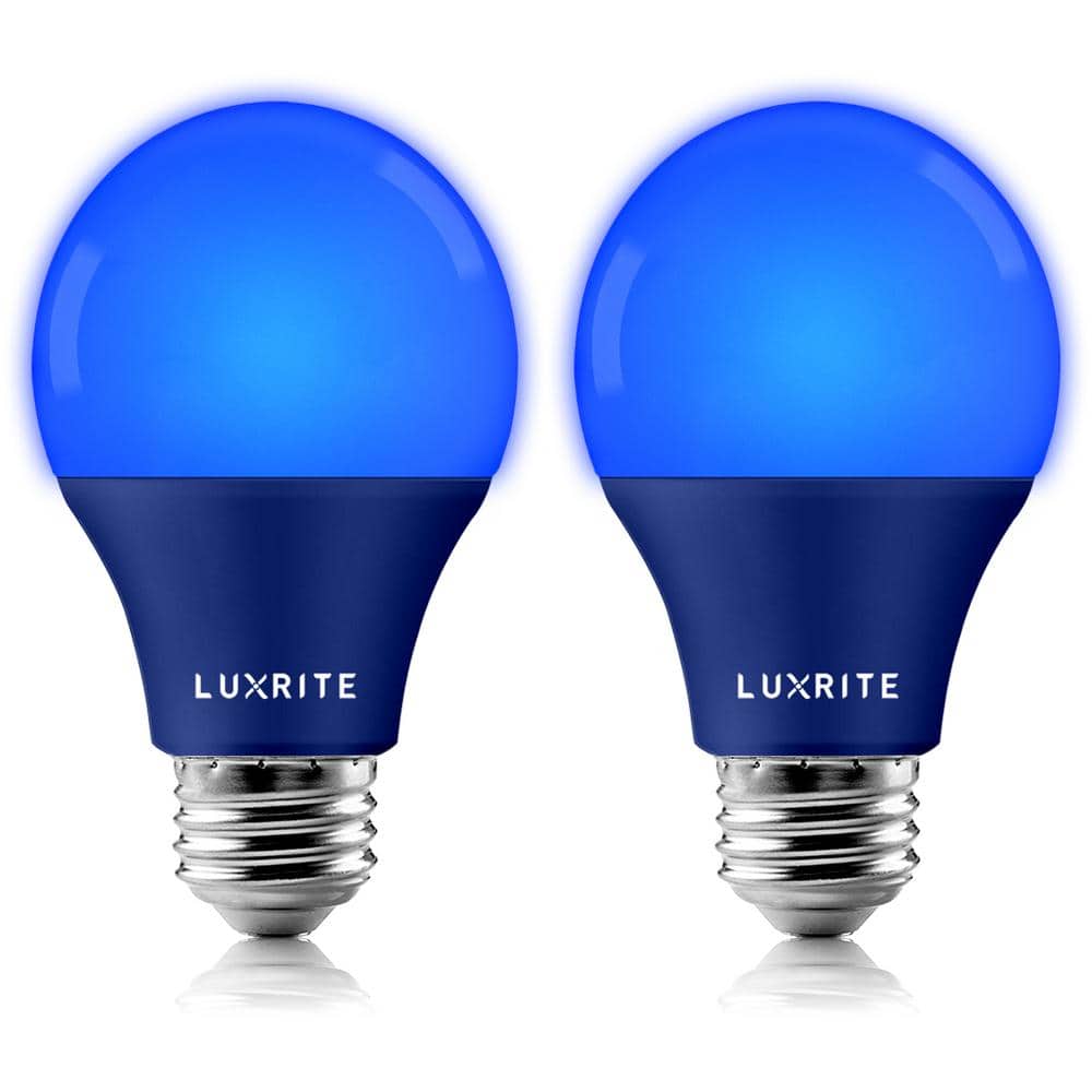 60-Watt Equivalent A19 LED Light Bulb Blue Light Bulb (2-Pack) price history on PriceWatchPro