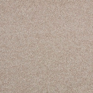 Phenomenal II  - Yorktown - Brown 62.7 oz. Triexta Texture Installed Carpet