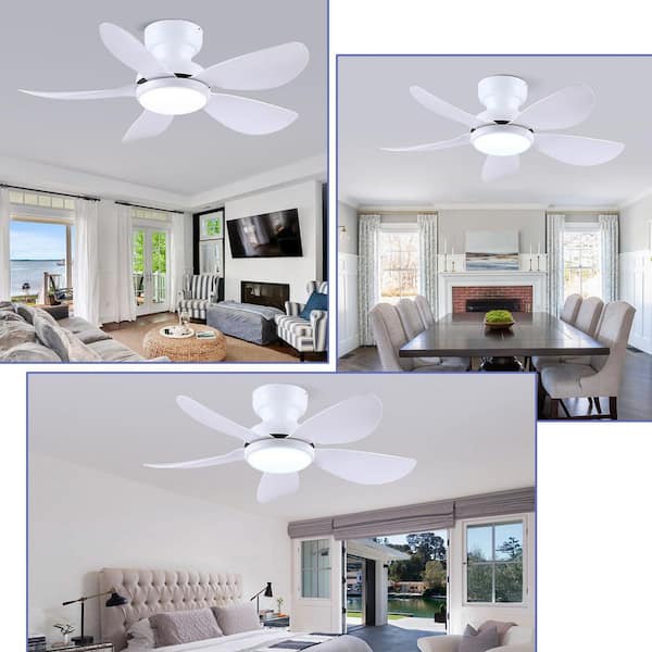 36 in. Indoor/Outdoor Flush Mount White Ceiling Fan with Dimmable 3-Color LED Light and Remote/APP Control