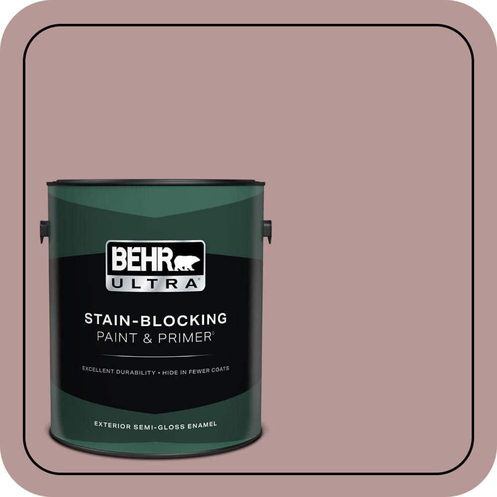 1 gal. #130F-4 Fond Memory Semi-Gloss Enamel Exterior Paint & Primer price history on PriceWatchPro