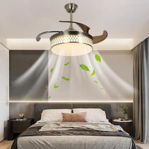 42 in. Indoor Brown Modern 6-Speeds Ceiling Fan Light with Reversible Quiet Motor and Remote