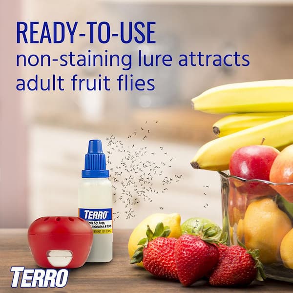 TERRO T2502 Fruit Fly Trap Review (2 Reviews & Actual Results