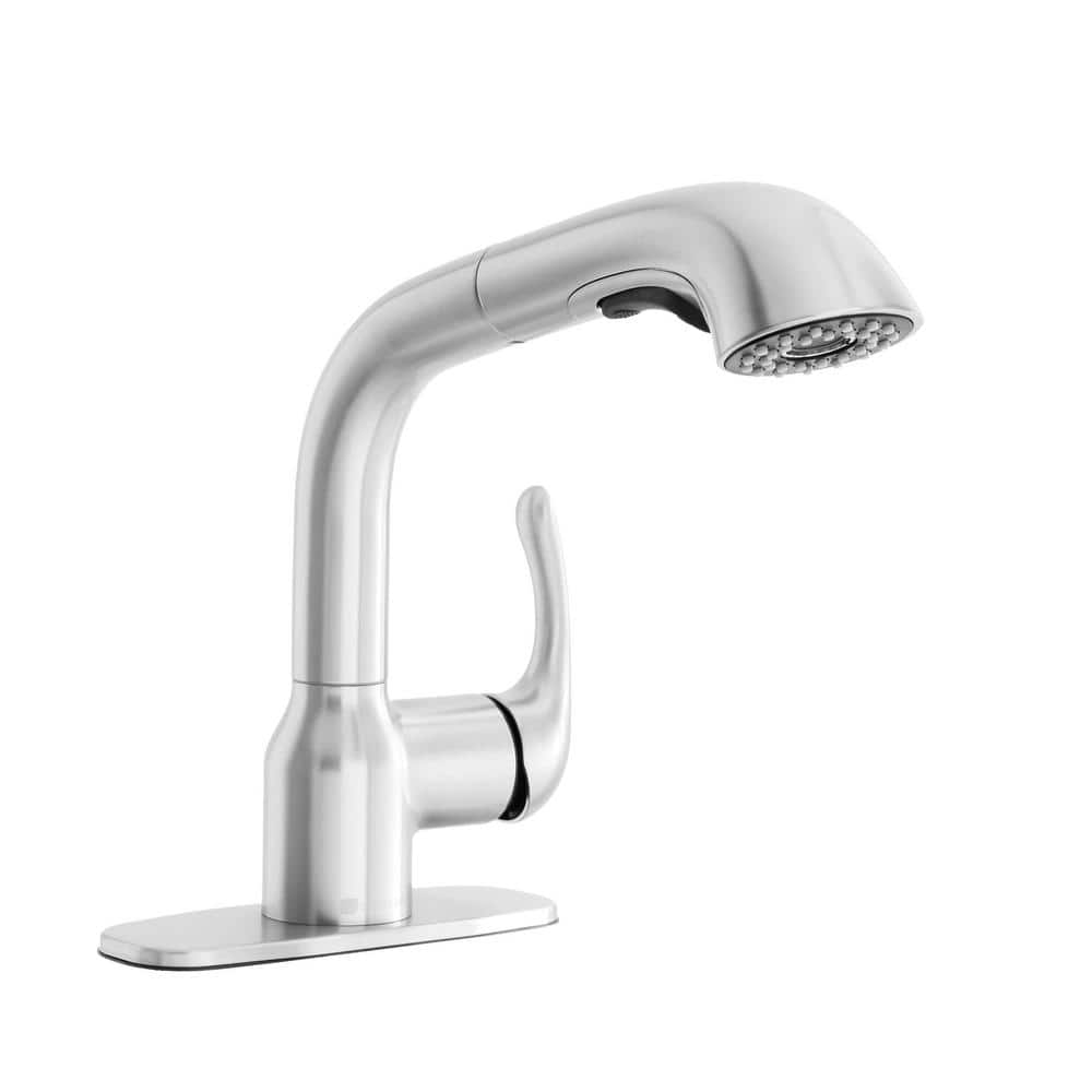 Glacier Bay Dunning Single-Handle Pull-Out Laundry Faucet with