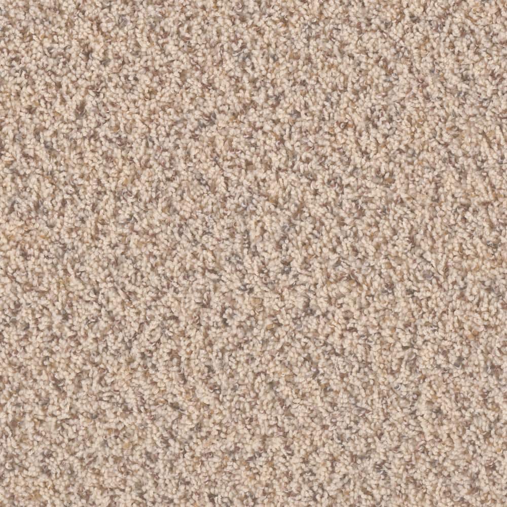 8 in. x  8 in. Texture Carpet Sample - Dream Wish -Color Desire price history on PriceWatchPro