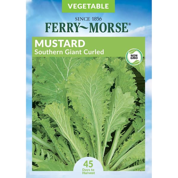 Ferry-Morse Mustard Southern Giant Curled Vegetable Seed