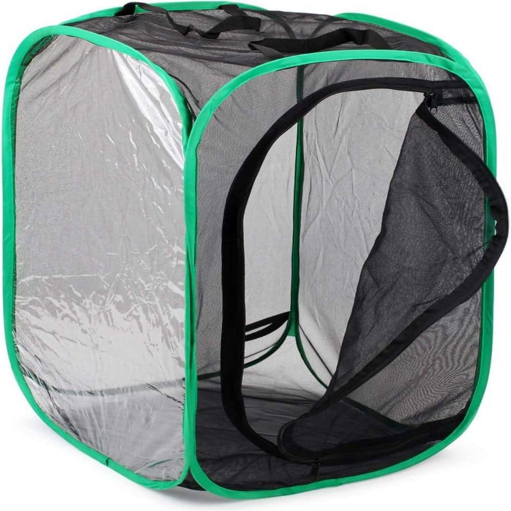 Insect and Butterfly Habitat Cage Terrarium Pop-up 23.6 Inches Tall price history on PriceWatchPro