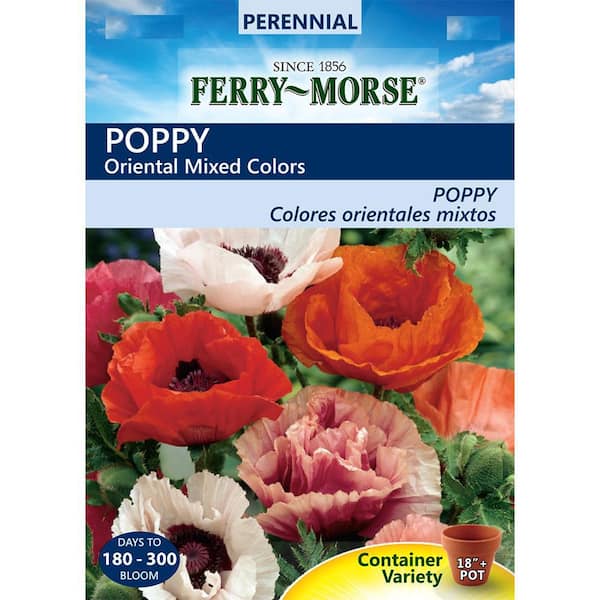 Ferry-Morse Poppy Oriental Mixed Colors Seed