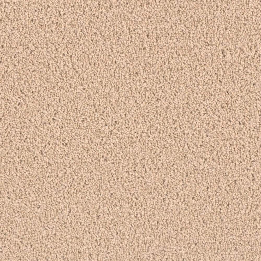 8 in. x  8 in. Texture Carpet Sample - Delicate Flower -Color Daisy price history on PriceWatchPro