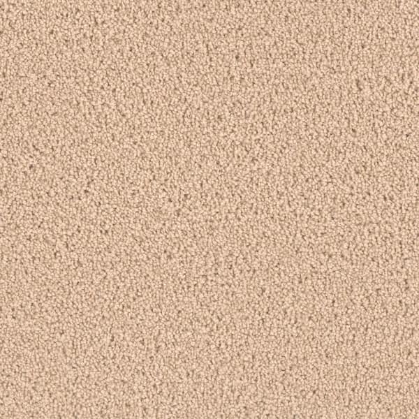 Home Decorators Collection Delicate Flower  - Daisy - Beige 40 oz. SD Polyester Texture Installed Carpet