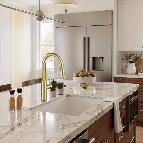 Forious pro Gooseneck Single Handle Pull Down Sprayer Kitchen