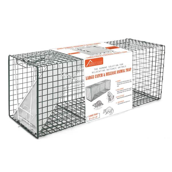 Homestead Large 1 Door Professional Humane Steel Live Animal Cage Trap Raccoons Opossums Groundhogs Skunks Feral Cats 410 891 0111 The Home Depot