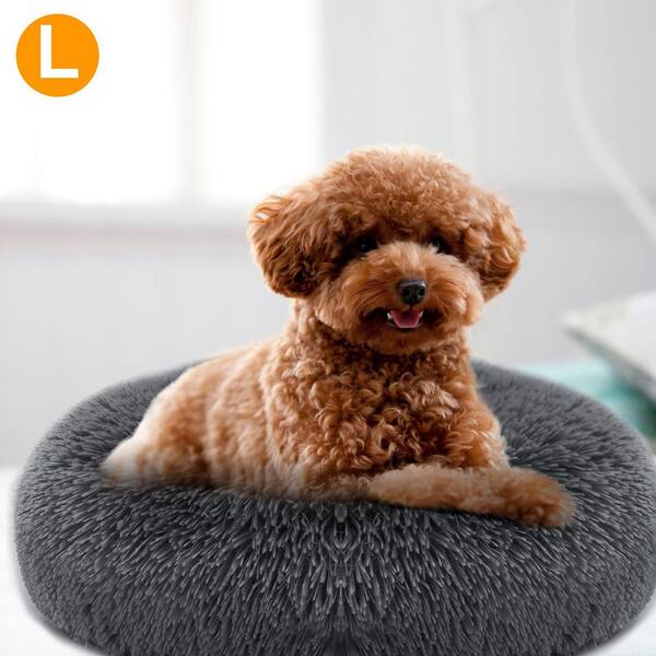 Toy hotsell poodle bed