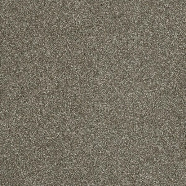 Home Decorators Collection Chastain I - Northside - Brown 40 oz. SD Polyester Texture Installed Carpet